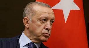 الرئيس التركي: اليونان تحولت إلى قاعدة عسكرية أمريكية - Sputnik Arabic