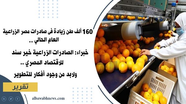 160ألف طن زيادة في صادرات مصر الزراعية العام الحالي خبراء الصادرات