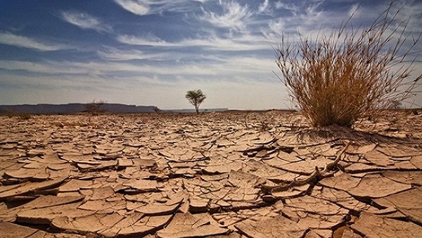 البوابة نيوز غدا العالم يحيي اليوم العالمي لمكافحة التصحر والجفاف